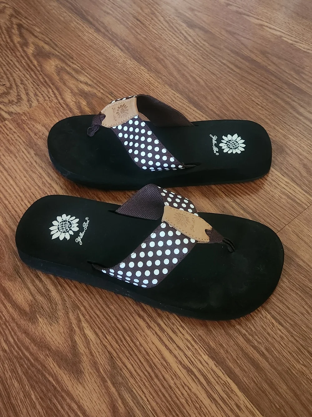 Yellow Box Polka Dot Thong Sandals in Brown and White - Picture 2 of 4
